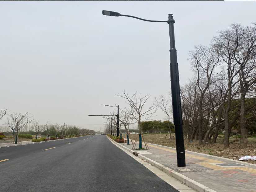 孟连傣族拉祜族佤族自治县上海综合杆 太阳能路灯工程